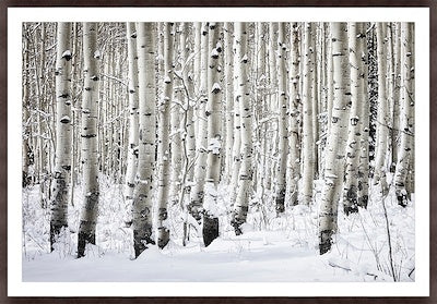 HLHF First Snow on Guardsman Pass Wall Art Wall Art Furniture Store Burlington Ontario Near Me