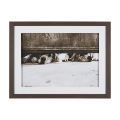 HLHF We See You Wall Art New Arrivals, Wall Art Furniture Store Burlington Ontario Near Me 