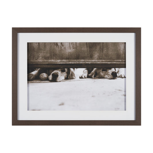 HLHF We See You Wall Art New Arrivals, Wall Art Furniture Store Burlington Ontario Near Me 