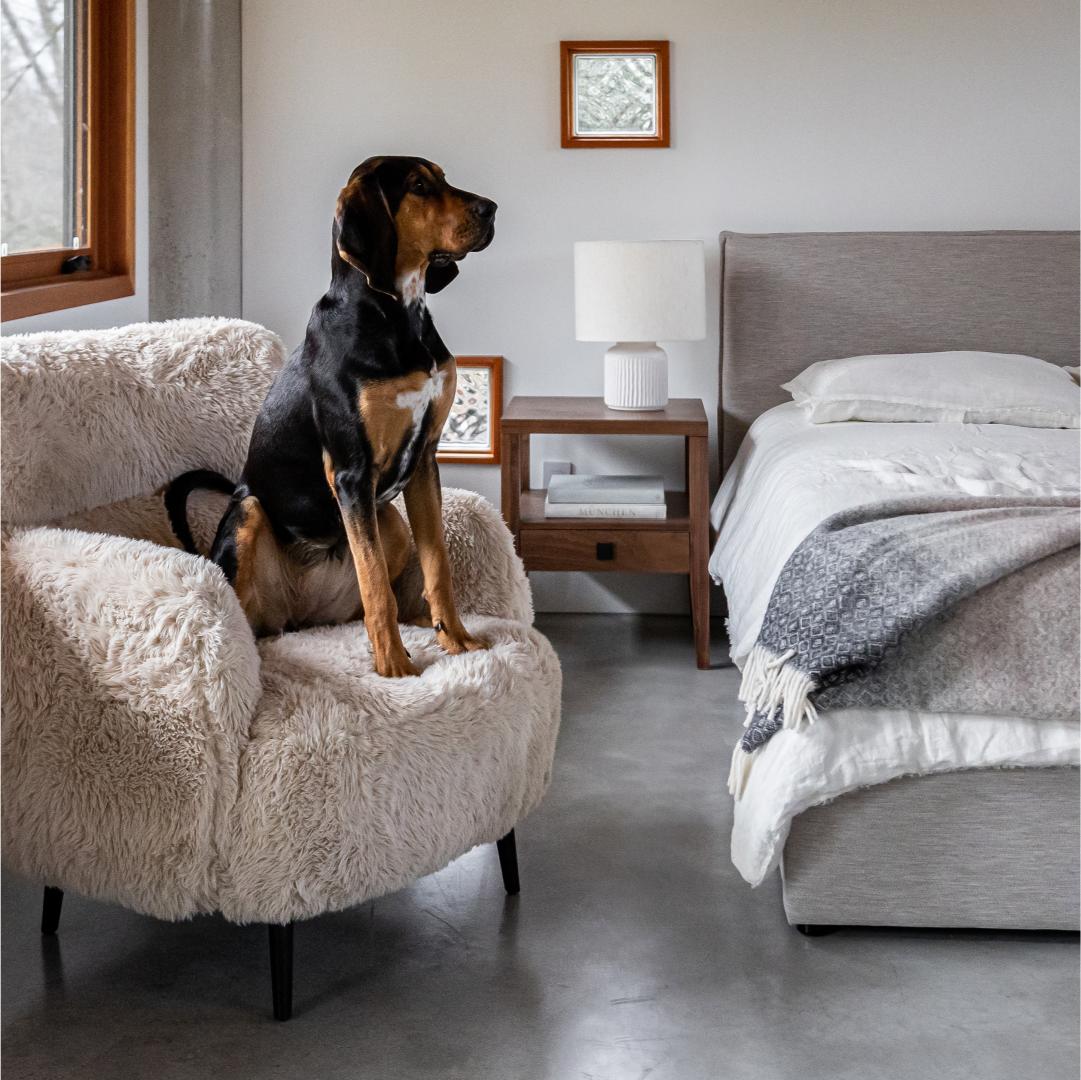 Ginger Accent Chair X Grey Home