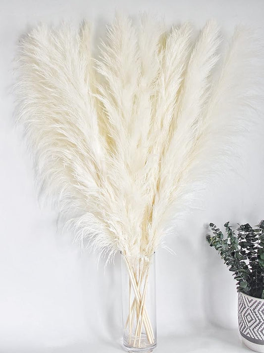 Pampas Grass X Grey Home