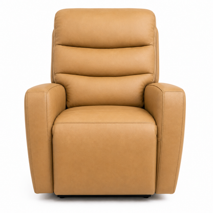 HLHF Safari Bistro Electric Motion Recliner Accent Chairs, Living, New Arrivals Furniture Store Burlington Ontario Near Me 
