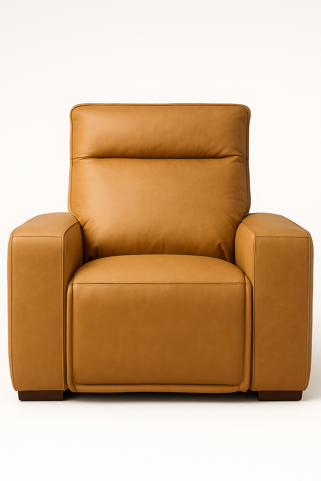 Oslo Antelope Motion Recliner