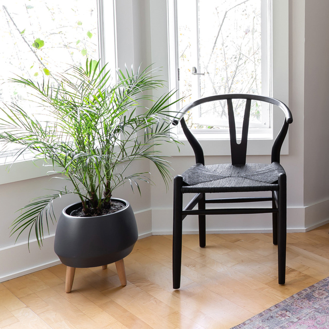 Frida Dining Chair