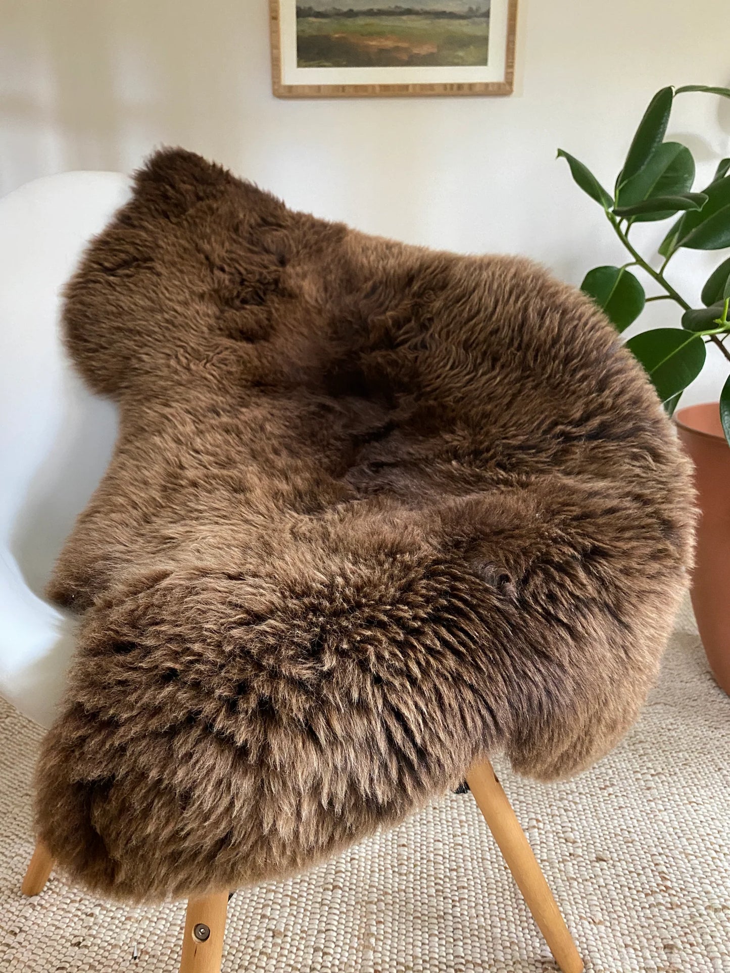 Forest Genuine Sheepskin Rug X Grey Home (Small)