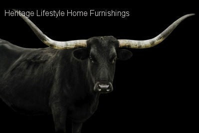 HLHF Longhorn Wall Art Wall Art Furniture Store Burlington Ontario Near Me 